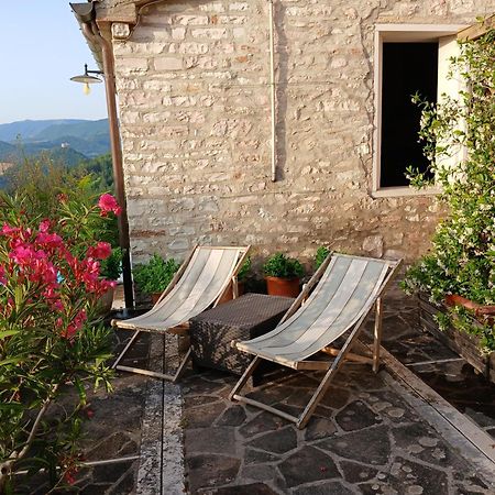 Agriturismo Del Frontino - Lo Studio Acqualagna Ngoại thất bức ảnh