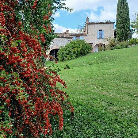 Agriturismo Del Frontino - Lo Studio Acqualagna Ngoại thất bức ảnh