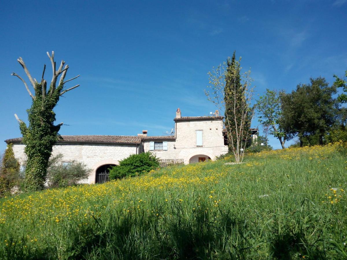 Agriturismo Del Frontino - Lo Studio Acqualagna Ngoại thất bức ảnh