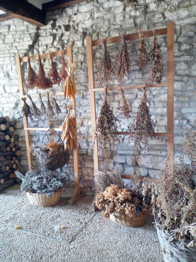 Agriturismo Del Frontino - Lo Studio Acqualagna Ngoại thất bức ảnh