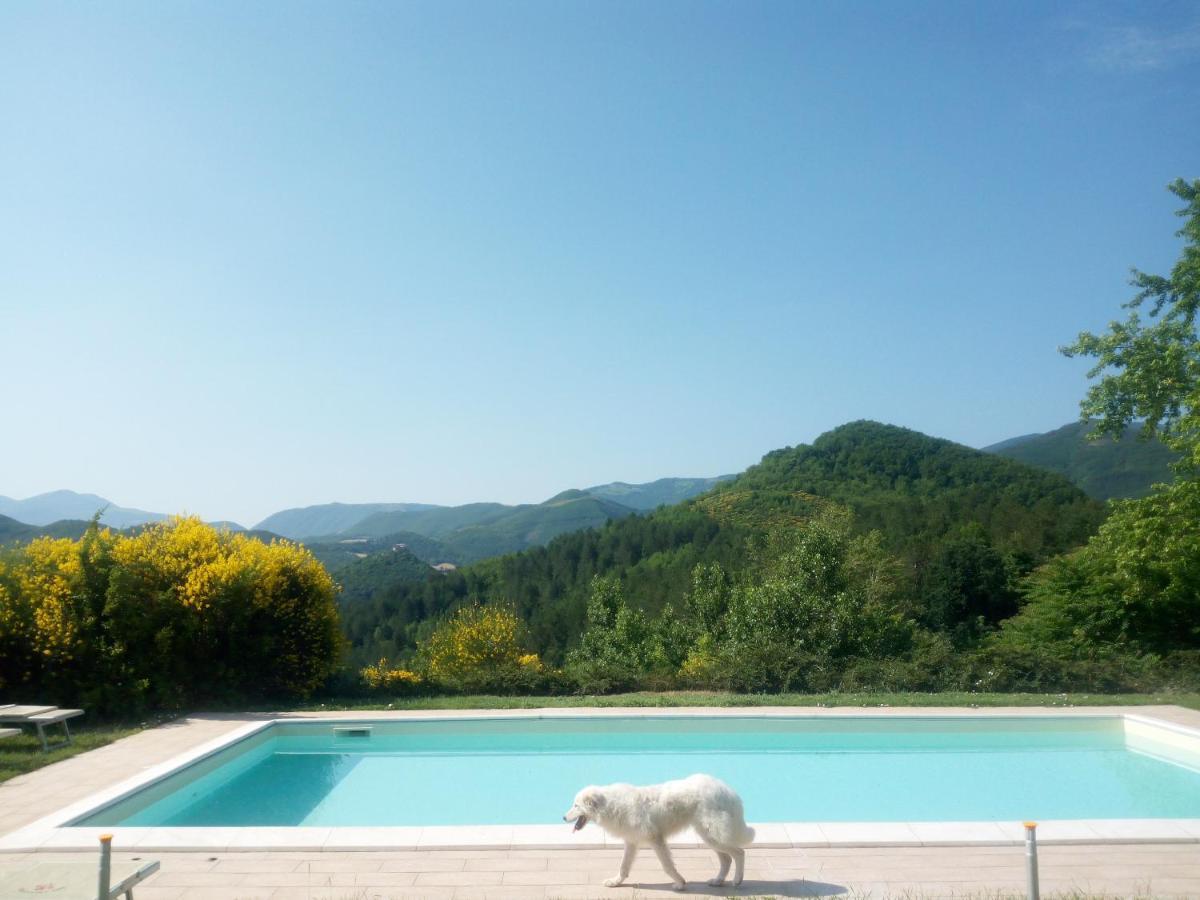 Agriturismo Del Frontino - Lo Studio Acqualagna Ngoại thất bức ảnh