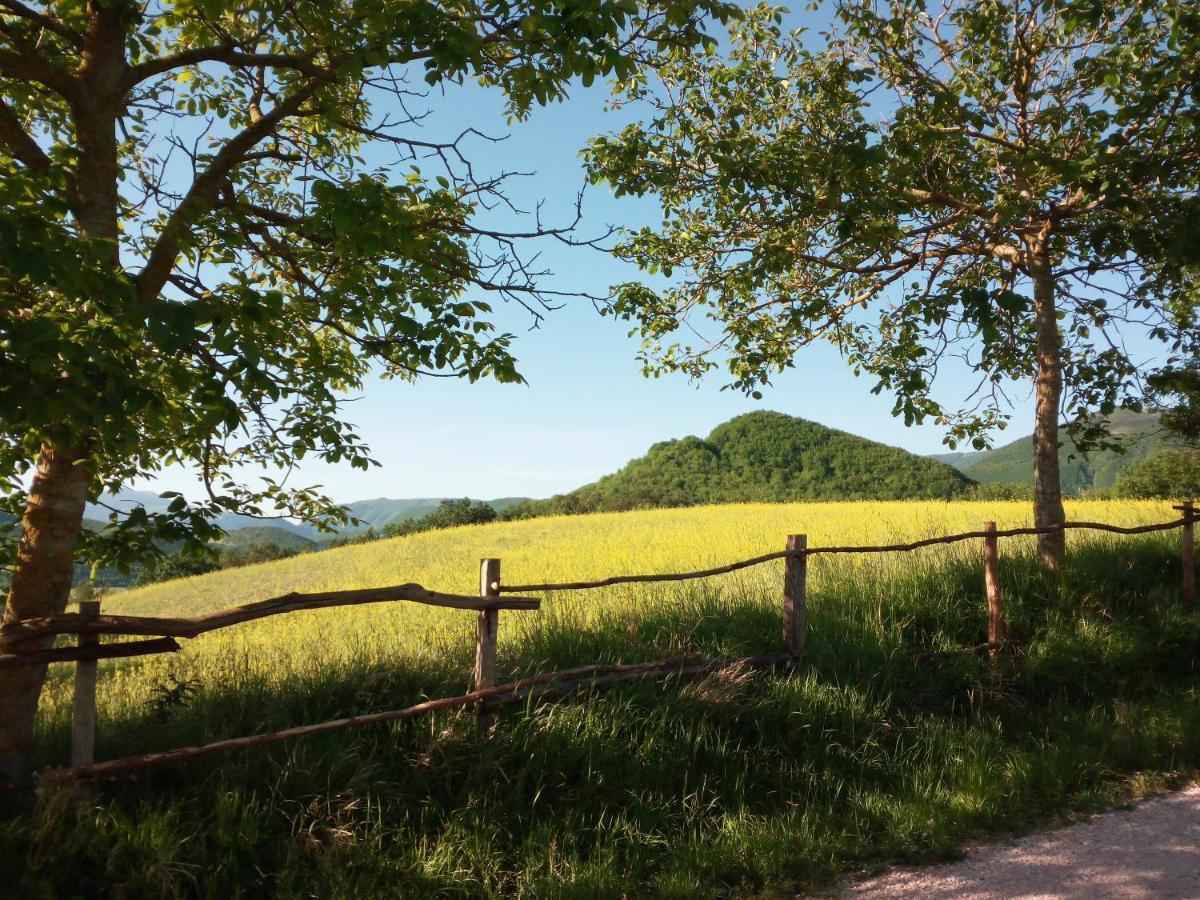 Agriturismo Del Frontino - Lo Studio Acqualagna Ngoại thất bức ảnh