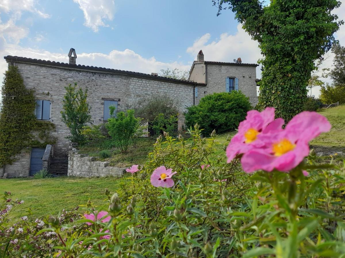 Agriturismo Del Frontino - Lo Studio Acqualagna Ngoại thất bức ảnh