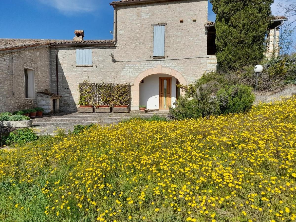 Agriturismo Del Frontino - Lo Studio Acqualagna Ngoại thất bức ảnh
