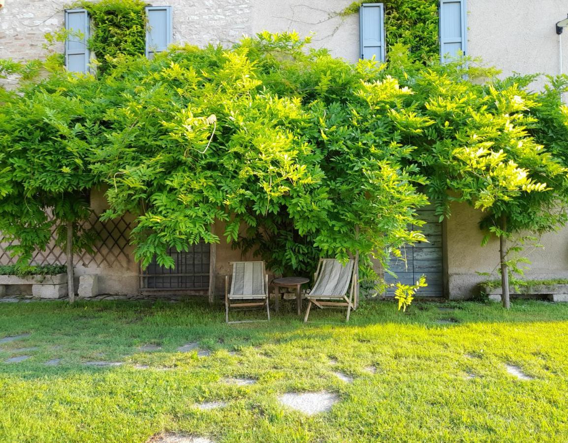 Agriturismo Del Frontino - Lo Studio Acqualagna Ngoại thất bức ảnh