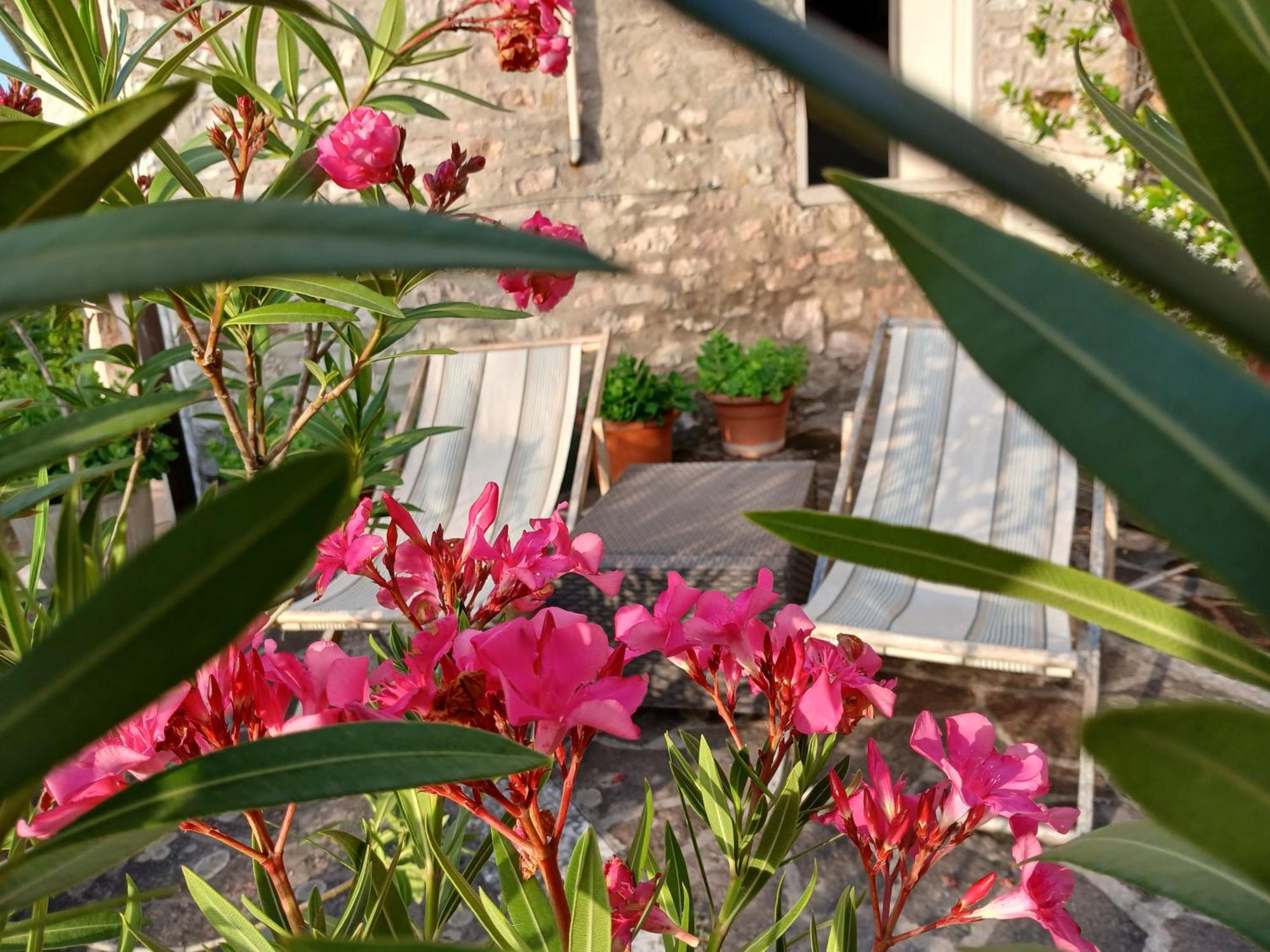 Agriturismo Del Frontino - Lo Studio Acqualagna Ngoại thất bức ảnh
