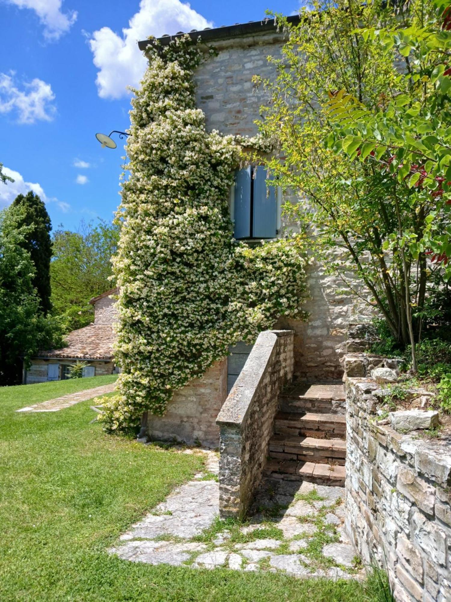 Agriturismo Del Frontino - Lo Studio Acqualagna Ngoại thất bức ảnh