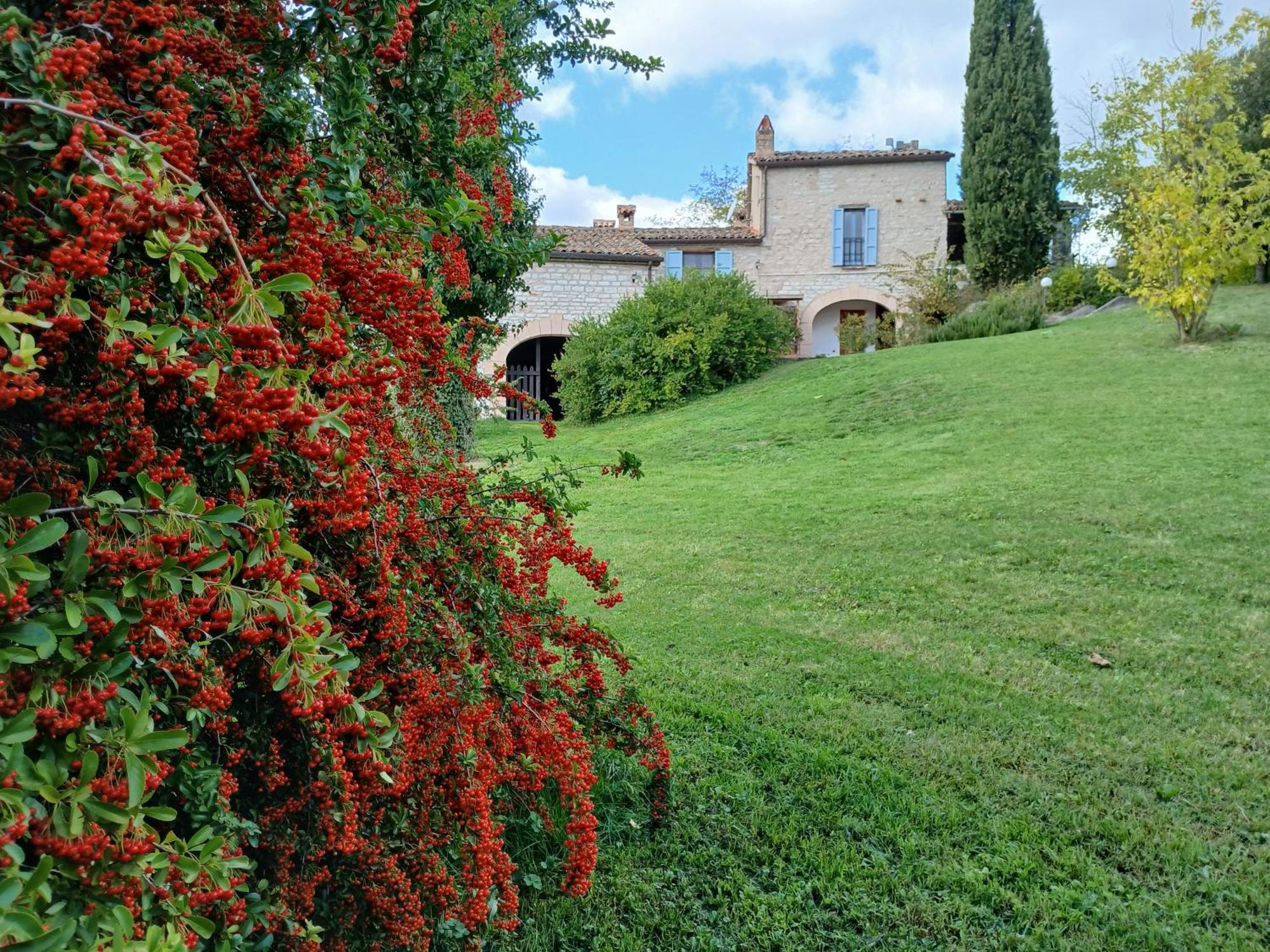 Agriturismo Del Frontino - Lo Studio Acqualagna Ngoại thất bức ảnh